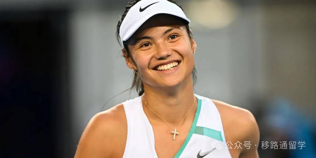 因素叠加的 因素叠加的